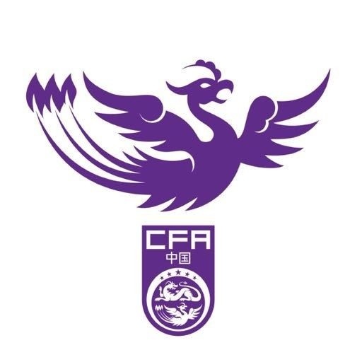  全運會女足成年組資格賽分組：北京、江蘇同組，上海、湖北同組