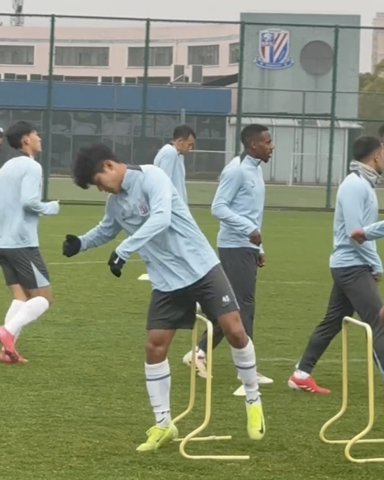  媒體人：明晚申花對(duì)陣川崎，鋒線有可能是劉誠宇搭檔米內(nèi)羅