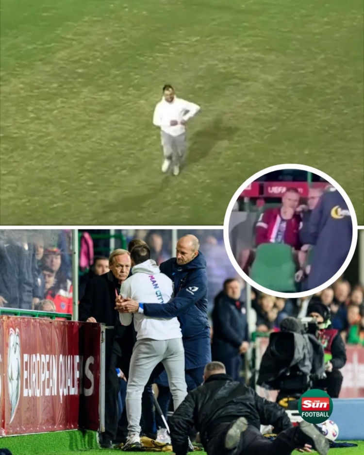  太陽報：在挪威和摩爾多瓦的比賽中，一球迷試圖沖入球場找哈蘭德