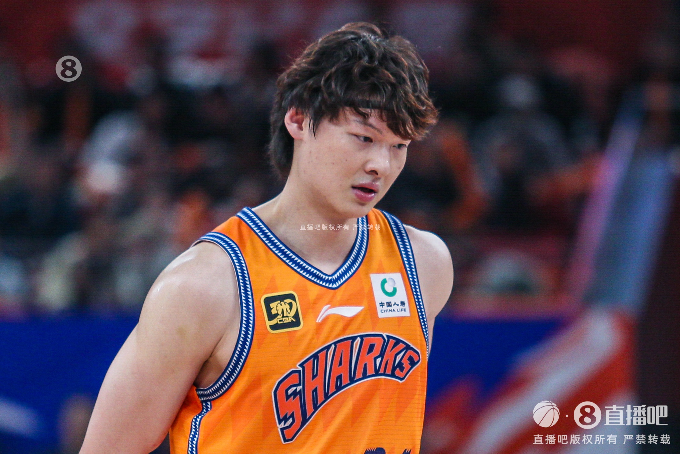  上海官方：布萊德索髂腰肌撕裂傷停4周 王哲林腰部不適傷停1周