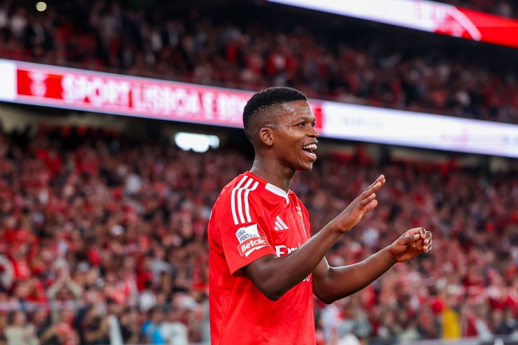  羅體：尤文有意本菲卡中場弗洛倫蒂諾，已經(jīng)展開接觸